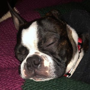 Meet your Posher, Milla